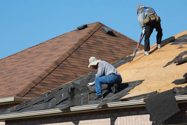 Best Roof Insulation Installation  in White Hall, AR